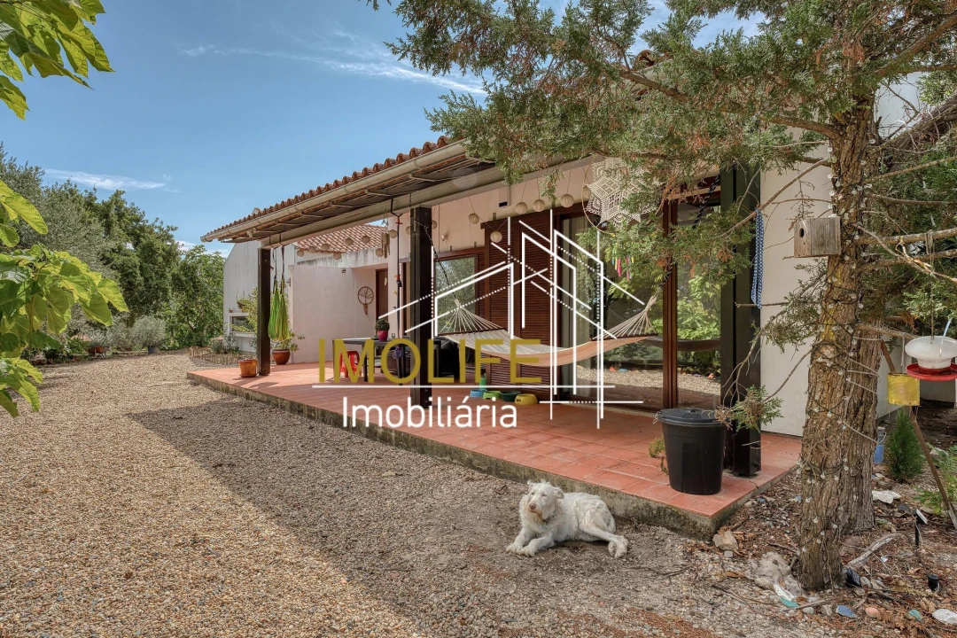 Quinta T4 para Venda em Mora Foto 7