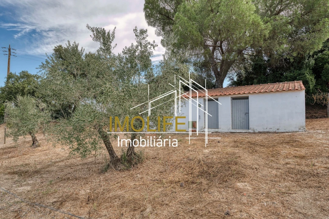 Quinta T4 para Venda em Mora Foto 16