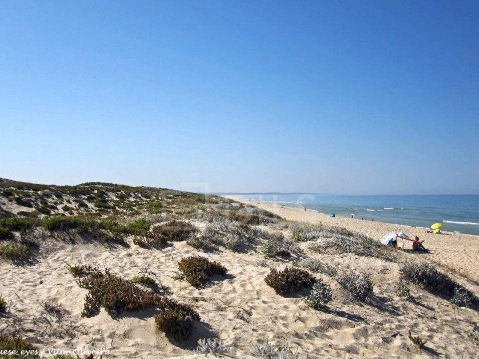 Moradia T3 para Venda em Azinheira dos Barros e São Mamede do Sádão Foto 7