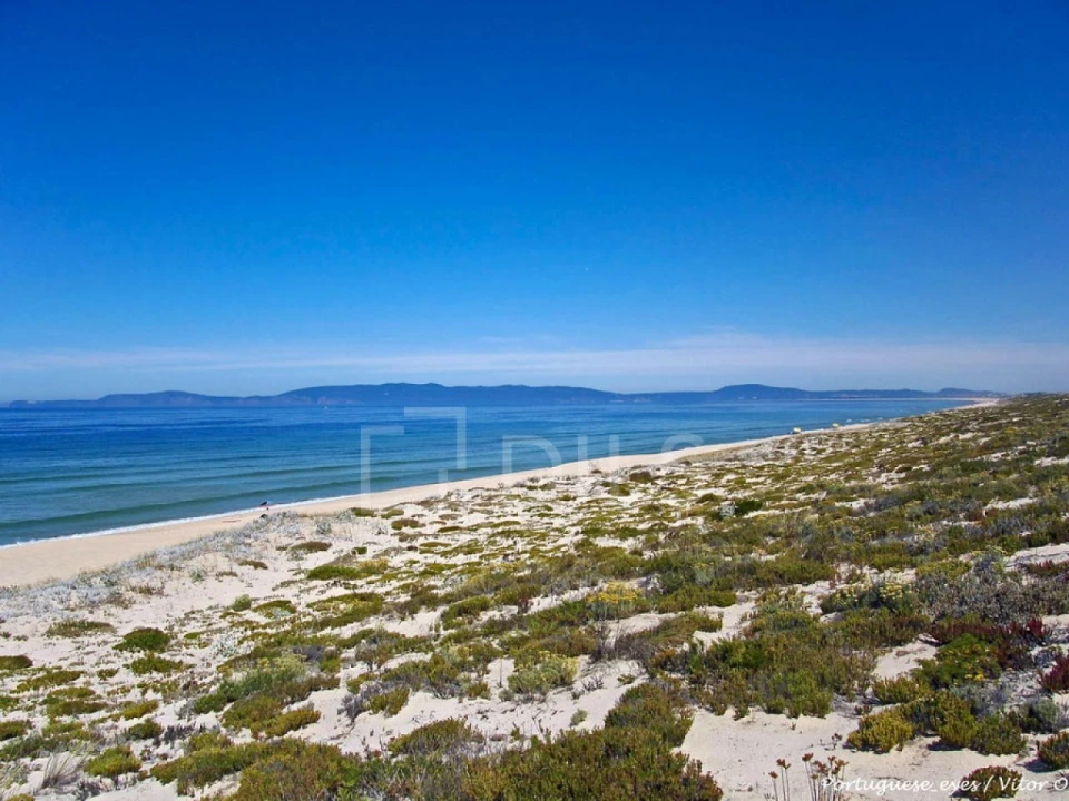 Moradia T3 para Venda em Azinheira dos Barros e São Mamede do Sádão Foto 79