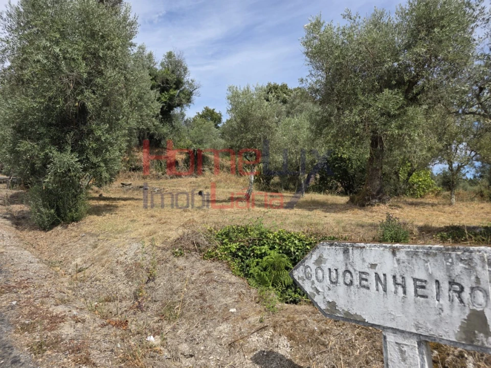 Quinta T3 para Venda em Germil Foto 15