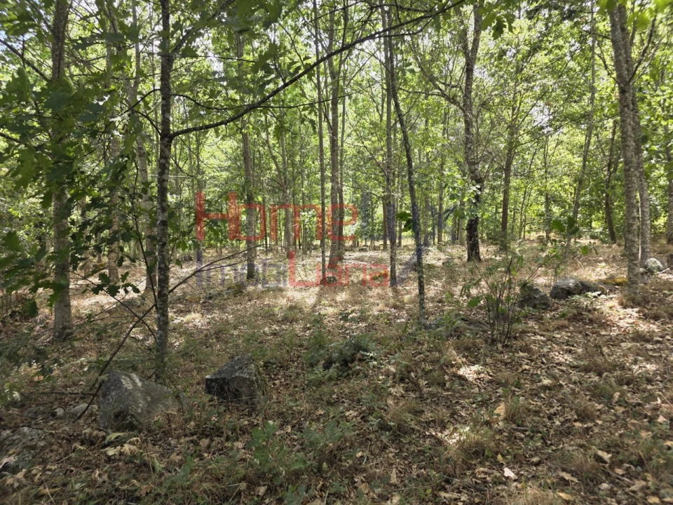 Quinta T3 para Venda em Germil Foto 16