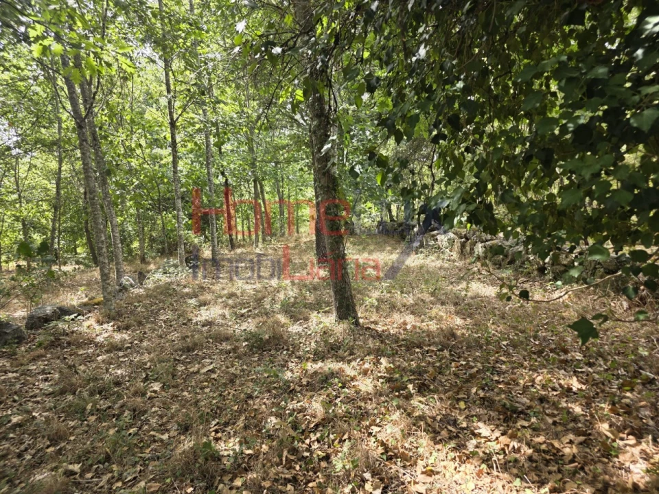 Quinta T3 para Venda em Germil Foto 17