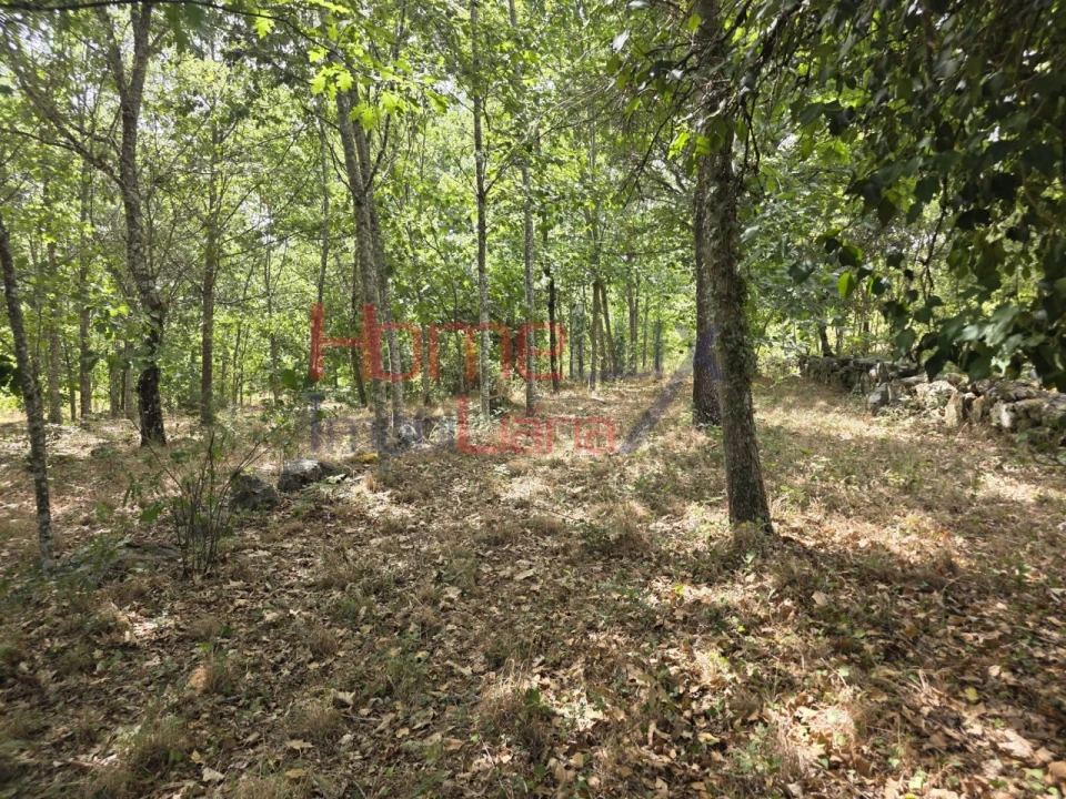 Quinta T3 para Venda em Germil Foto 19