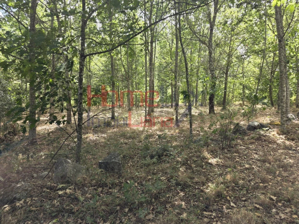 Quinta T3 para Venda em Germil Foto 20