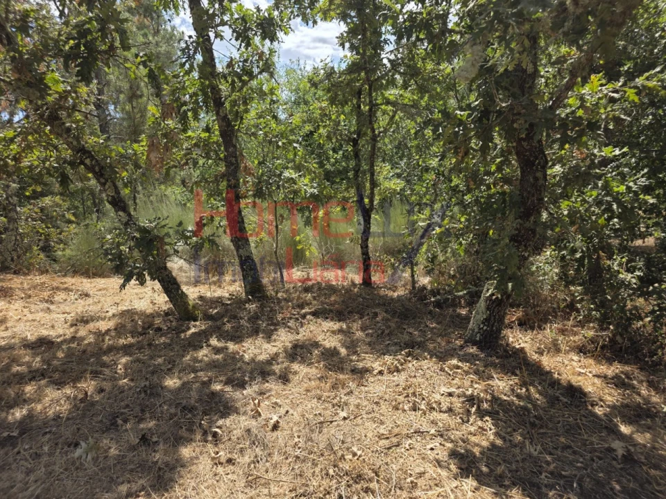 Quinta T3 para Venda em Germil Foto 24