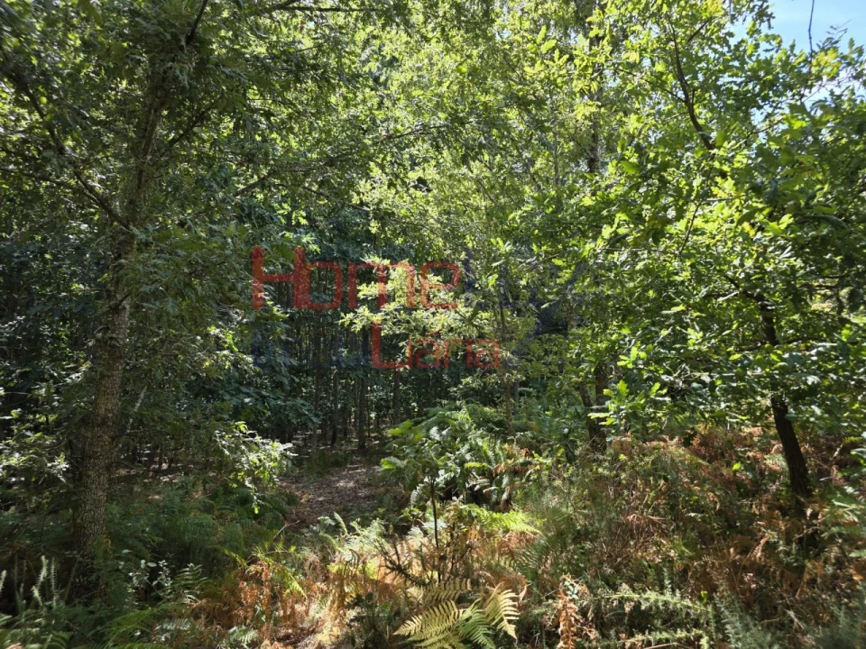 Quinta T3 para Venda em Germil Foto 27