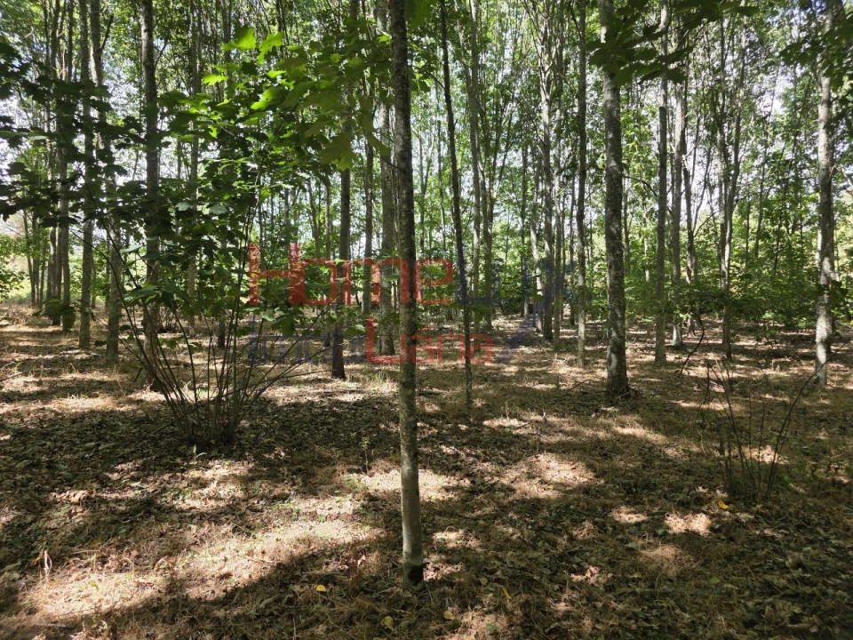 Quinta T3 para Venda em Germil Foto 29