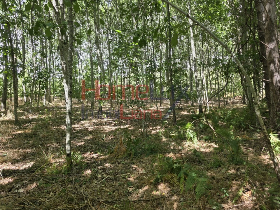 Quinta T3 para Venda em Germil Foto 31