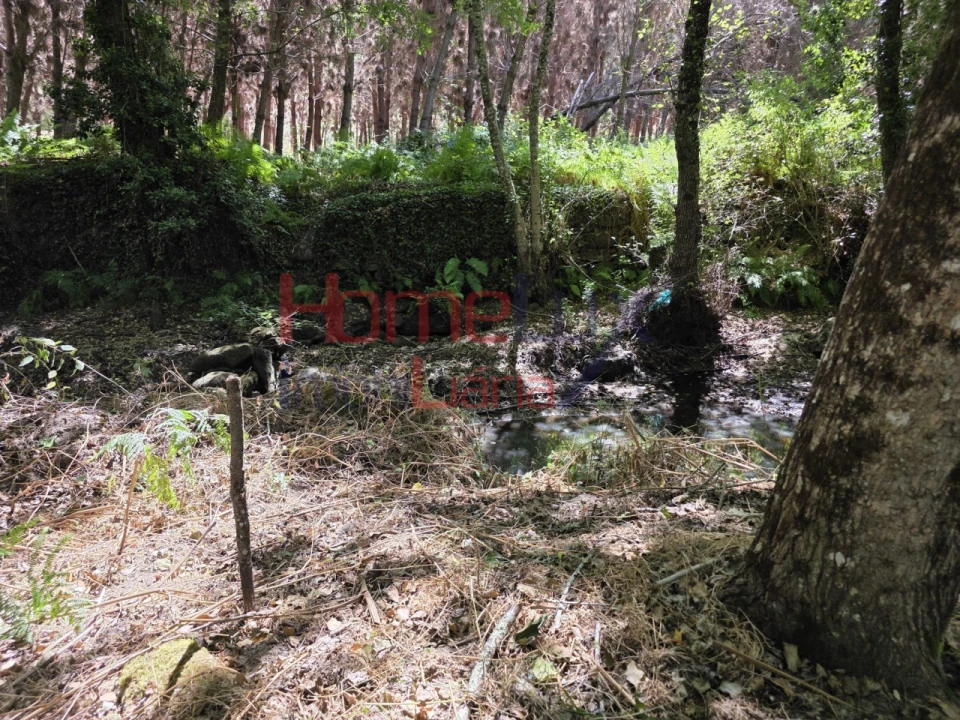 Quinta T3 para Venda em Germil Foto 32