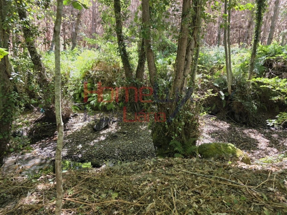 Quinta T3 para Venda em Germil Foto 33