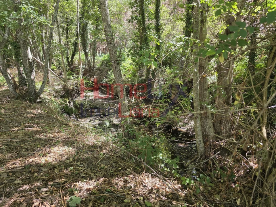 Quinta T3 para Venda em Germil Foto 35