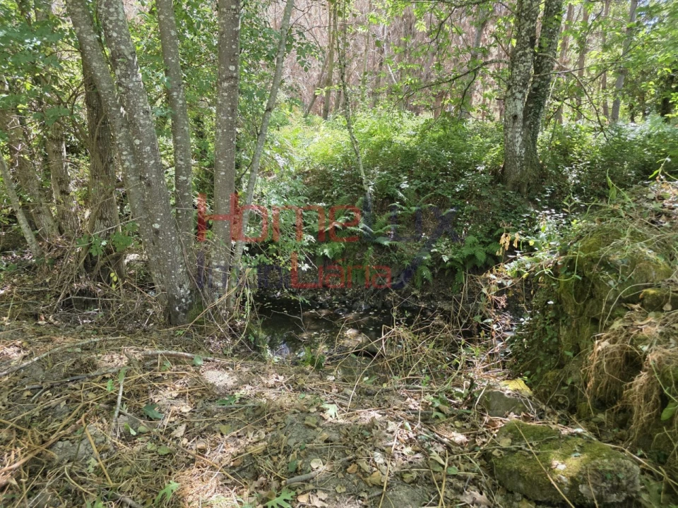 Quinta T3 para Venda em Germil Foto 36