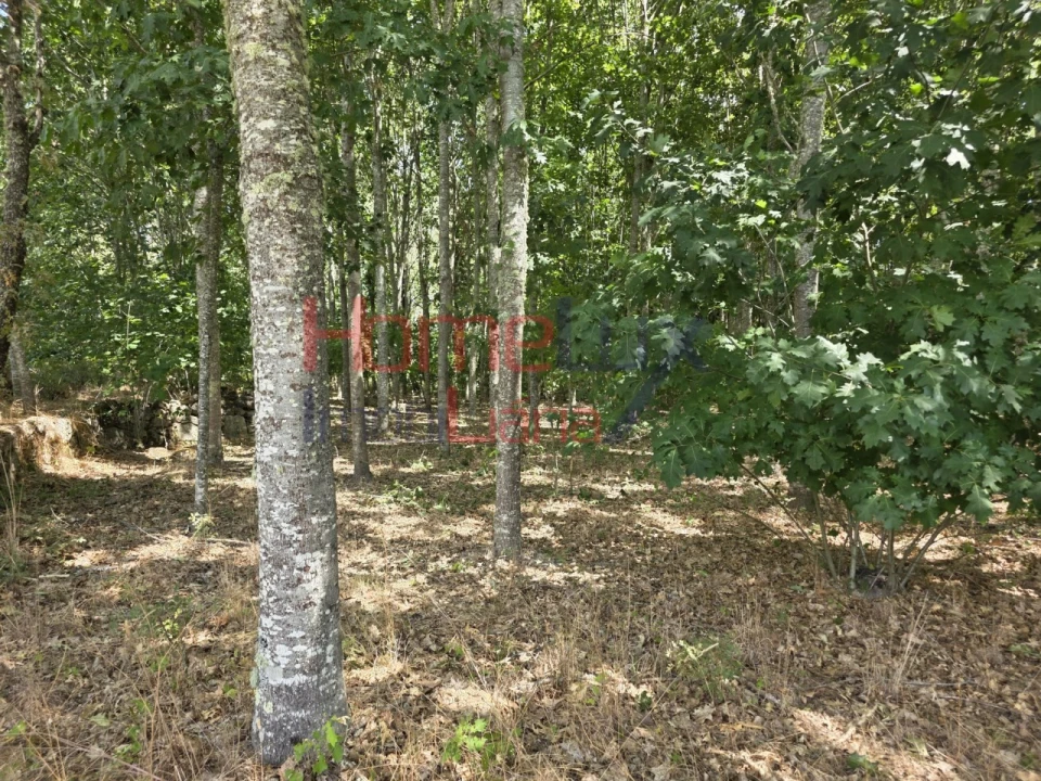 Quinta T3 para Venda em Germil Foto 39