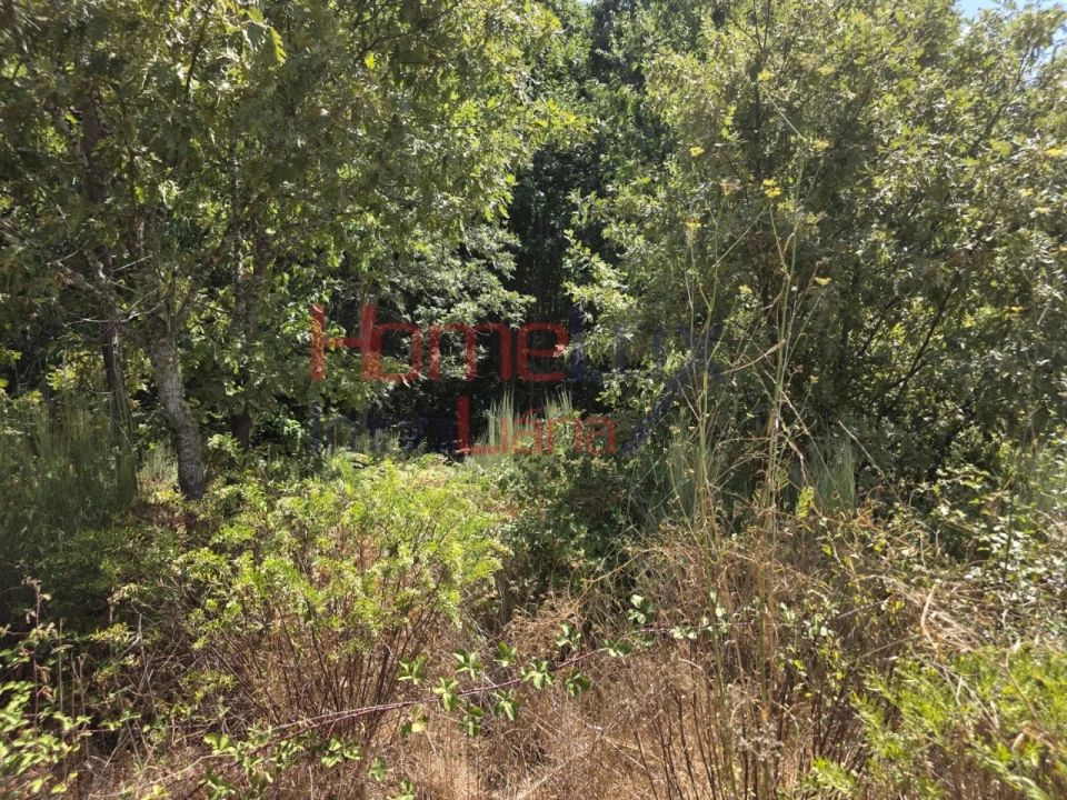 Quinta T3 para Venda em Germil Foto 40