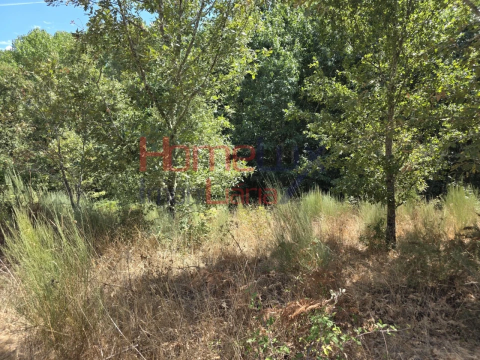 Quinta T3 para Venda em Germil Foto 41