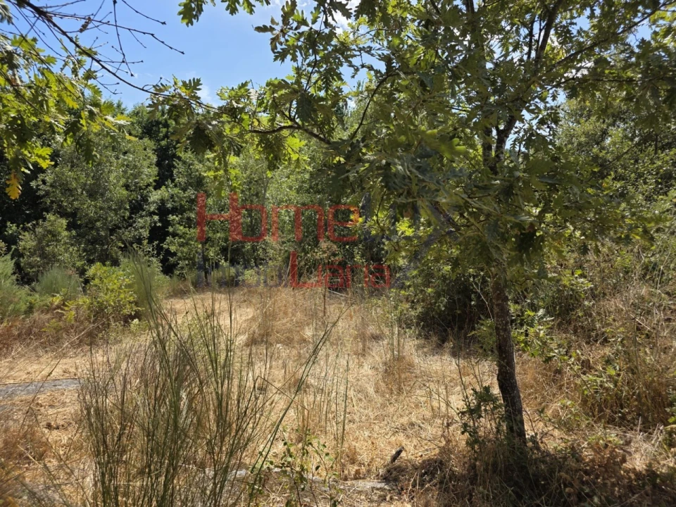 Quinta T3 para Venda em Germil Foto 43