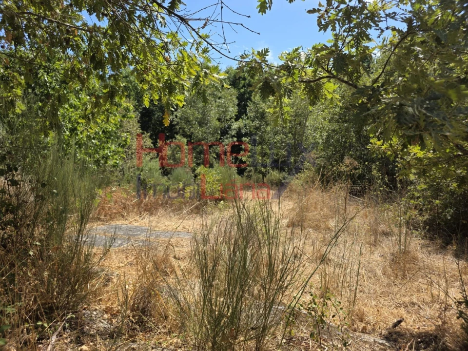 Quinta T3 para Venda em Germil Foto 45