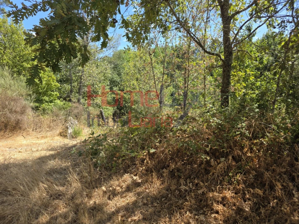 Quinta T3 para Venda em Germil Foto 46