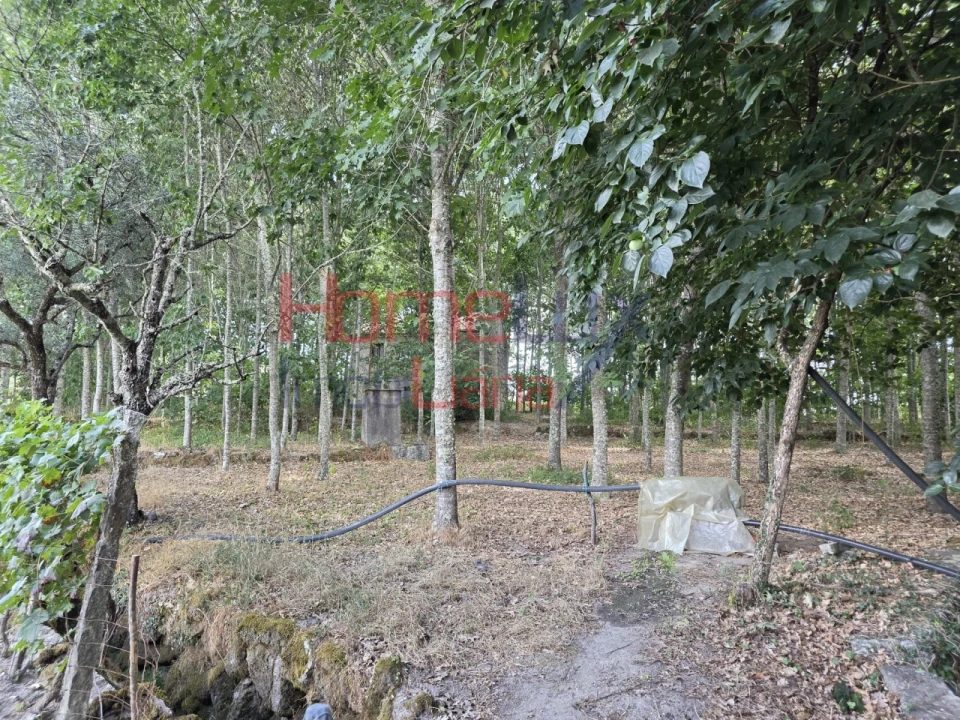 Quinta T3 para Venda em Germil Foto 49