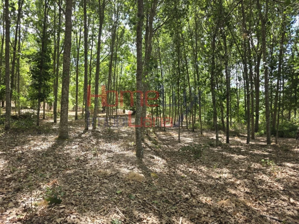 Quinta T3 para Venda em Germil Foto 53