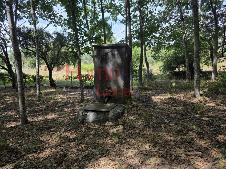 Quinta T3 para Venda em Germil Foto 54