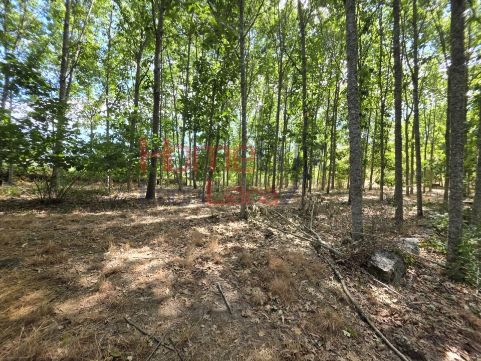 Quinta T3 para Venda em Germil Foto 56