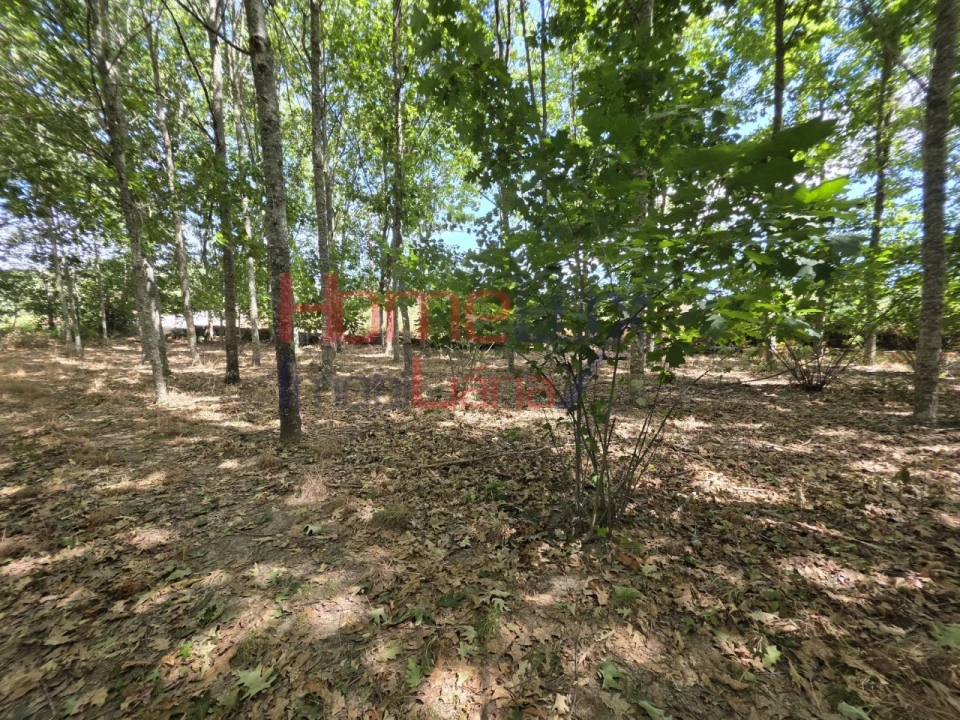 Quinta T3 para Venda em Germil Foto 58