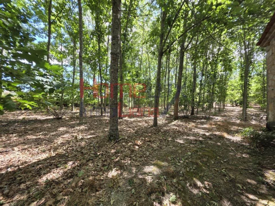 Quinta T3 para Venda em Germil Foto 59