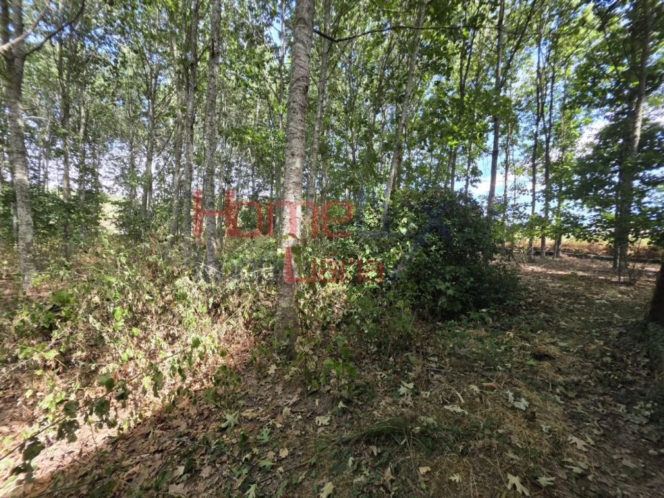 Quinta T3 para Venda em Germil Foto 64