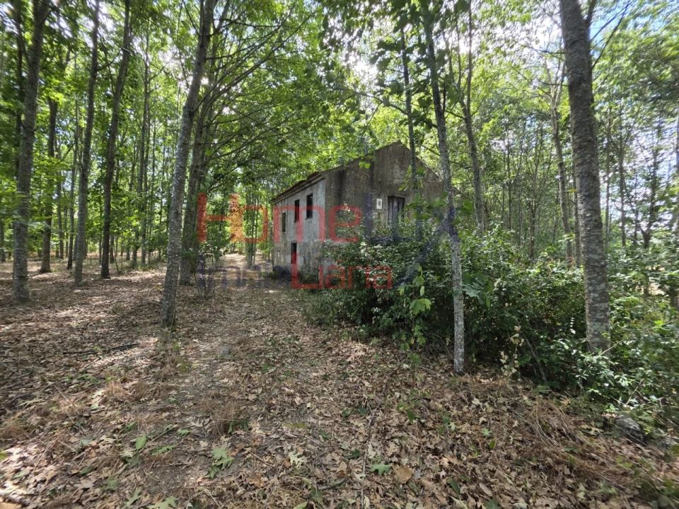 Quinta T3 para Venda em Germil Foto 1