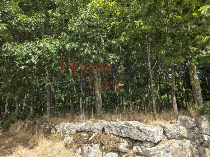 Quinta T3 para Venda em Germil Foto 14