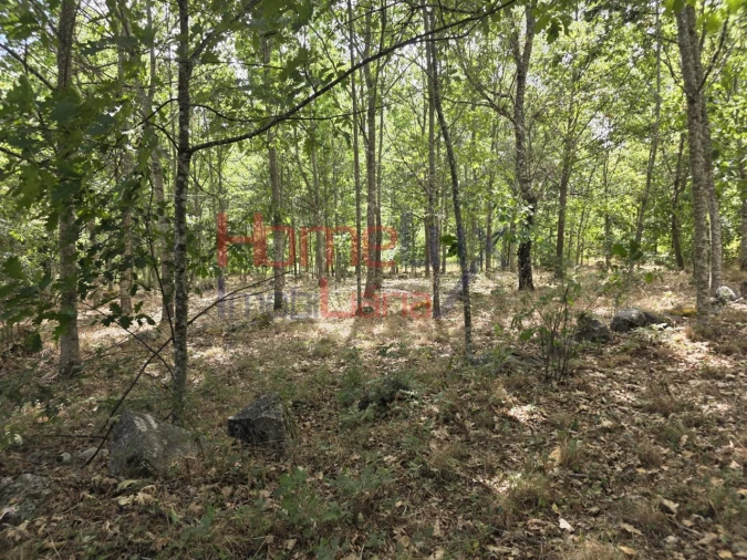 Quinta T3 para Venda em Germil Foto 16