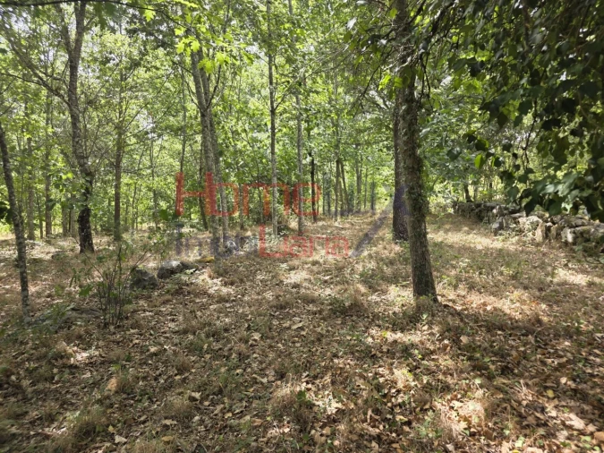 Quinta T3 para Venda em Germil Foto 19