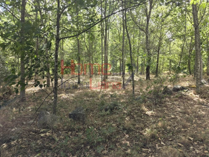 Quinta T3 para Venda em Germil Foto 20