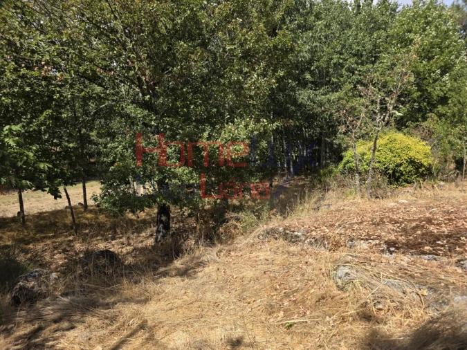 Quinta T3 para Venda em Germil Foto 23