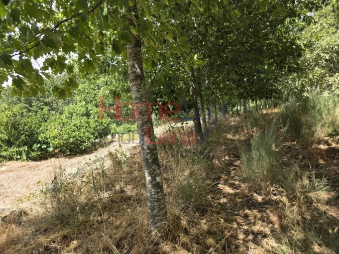 Quinta T3 para Venda em Germil Foto 25