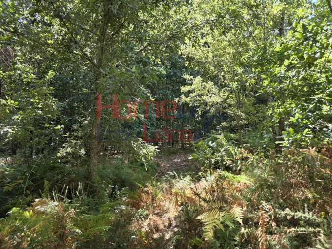 Quinta T3 para Venda em Germil Foto 28