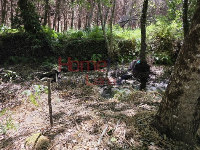 Quinta T3 para Venda em Germil Foto 32