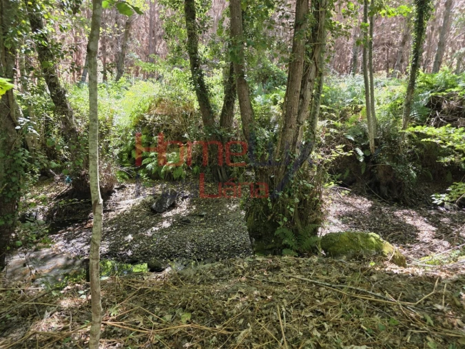 Quinta T3 para Venda em Germil Foto 33