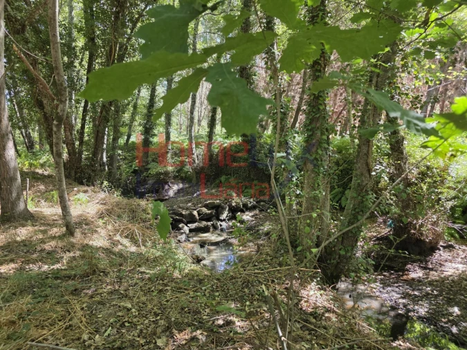 Quinta T3 para Venda em Germil Foto 34