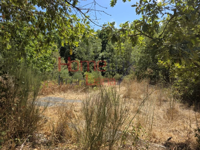 Quinta T3 para Venda em Germil Foto 44