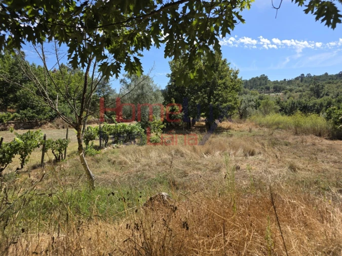 Quinta T3 para Venda em Germil Foto 47