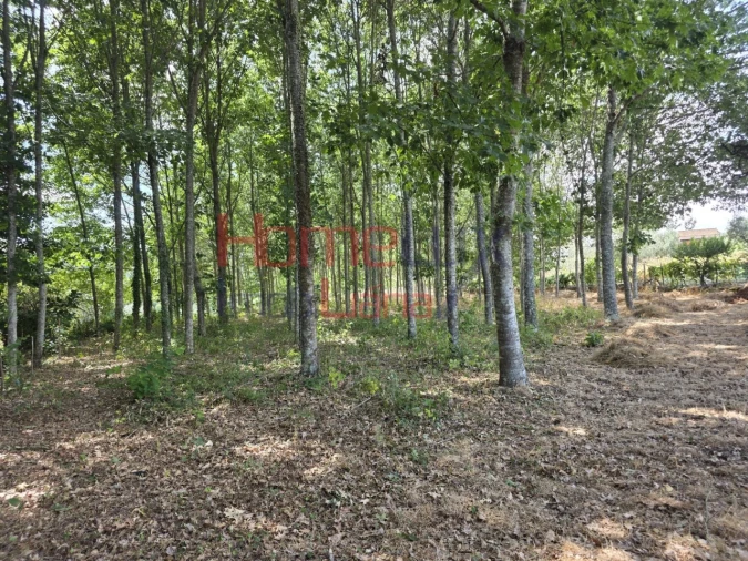 Quinta T3 para Venda em Germil Foto 48