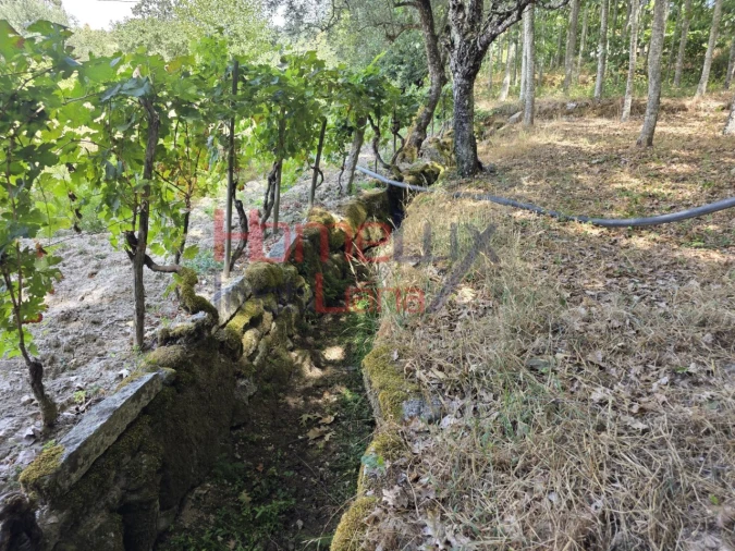 Quinta T3 para Venda em Germil Foto 51