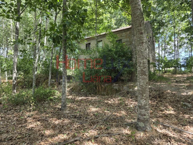 Quinta T3 para Venda em Germil Foto 18