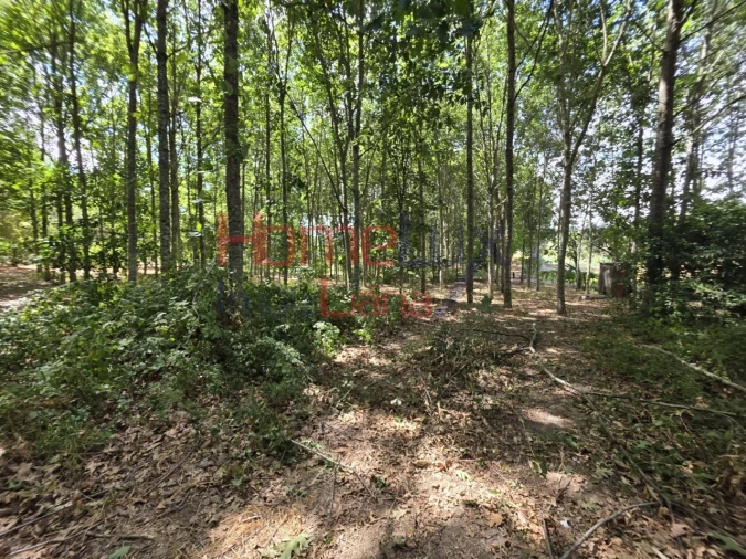 Quinta T3 para Venda em Germil Foto 55