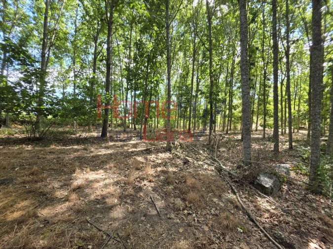 Quinta T3 para Venda em Germil Foto 56