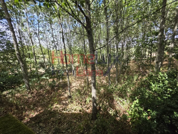 Quinta T3 para Venda em Germil Foto 60