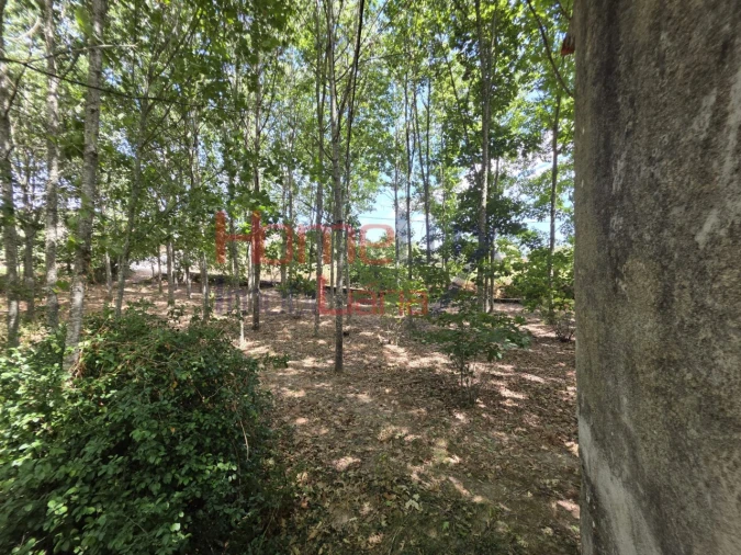 Quinta T3 para Venda em Germil Foto 62